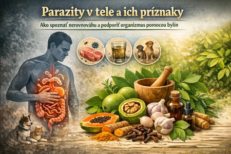 thumb_Info_grafika_Parazitex Blog